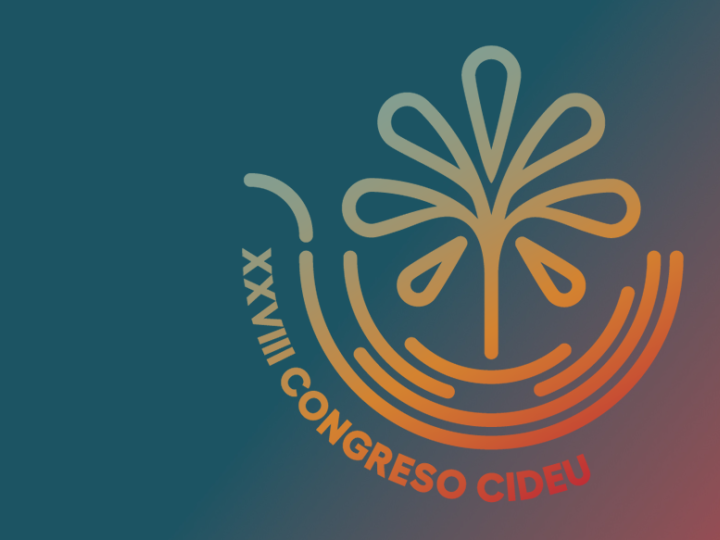XXVIII Congreso CIDEU