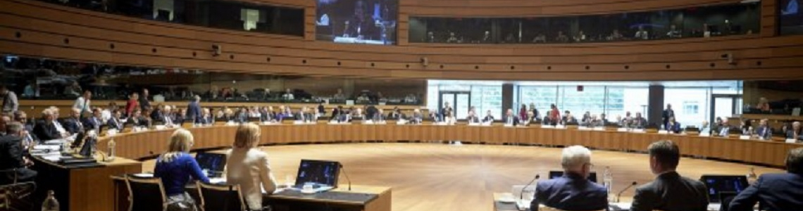 Picture of the meeting of the Council
